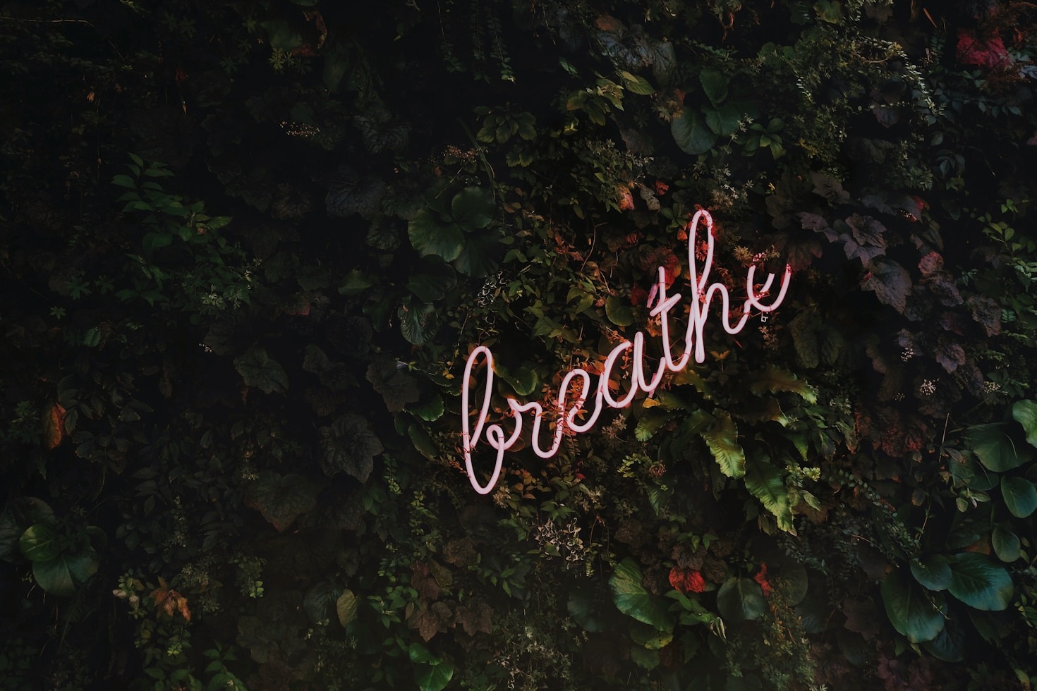 Why Stress Management is Key to Success