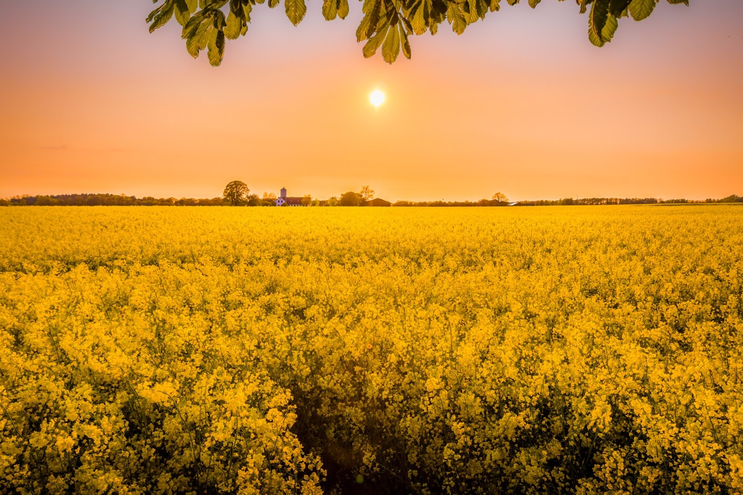 How to Balance Productivity and Relaxation